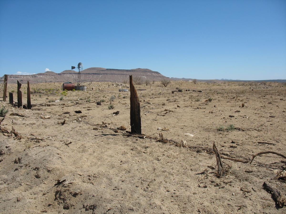 Figure 1. Grazing Allotment, Mojave National Preserve. Image Credit: Nerissa Rujanavech.